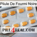 Black Ant Pill cialis3